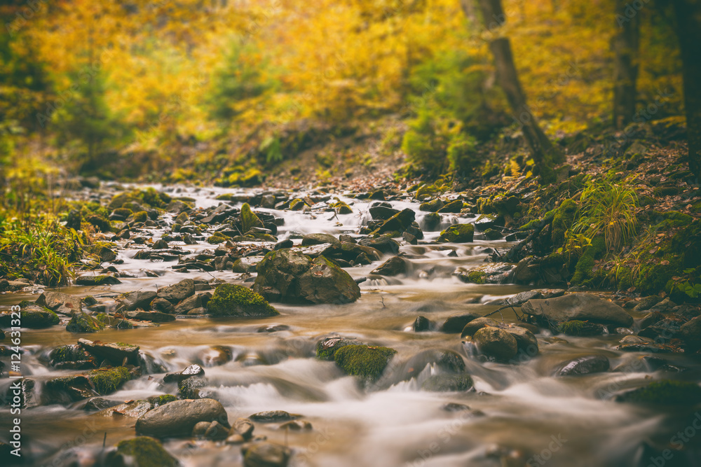 The mountain river in the autumn forest, tilt shift The mountain river in the autumn forest, tilt shift