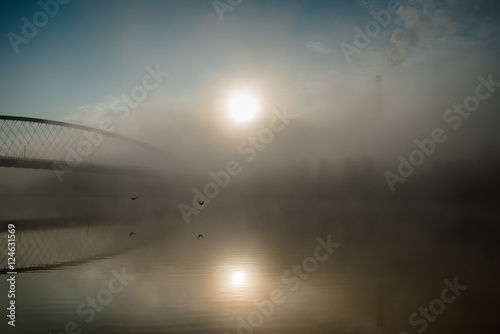 bridge over the calm river