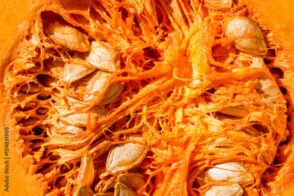 custom made wallpaper toronto digitalButternut squash with seeds close up look