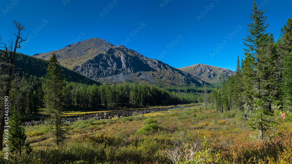 Obraz premium Krepkaya river in the Altai mountains, Russia