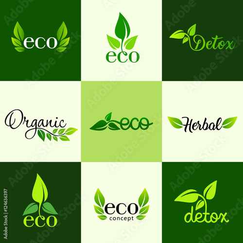 Vector set of design elements of the logo - a healthy diet, detox, organic and natural products