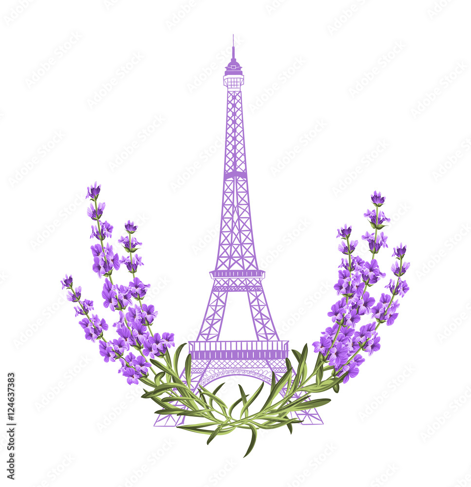 Eiffel tower with lavender flowers isolated over white background. The lavender elegant card. Eiffel tower symbol with spring blooming flowers for wedding invitation. Vector illustration.