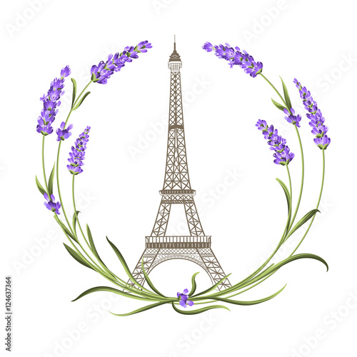 Eiffel tower with lavender flowers isolated over white background. The lavender elegant card. Eiffel tower symbol with spring blooming flowers for wedding invitation. Vector illustration.