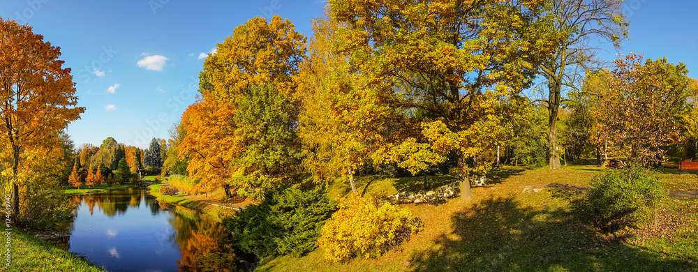 Fototapeta premium Beautiful colorful autumn.