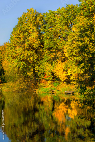 Fototapeta Naklejka Na Ścianę i Meble -  Beautiful colorful autumn.