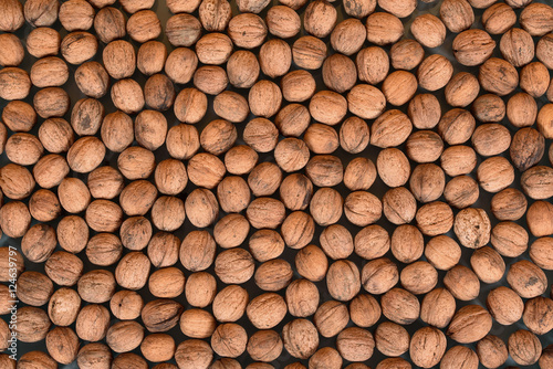 background texture of walnut