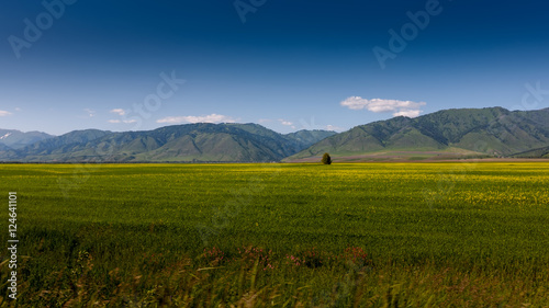 Beautiful landscape of highlands of Altai mountains