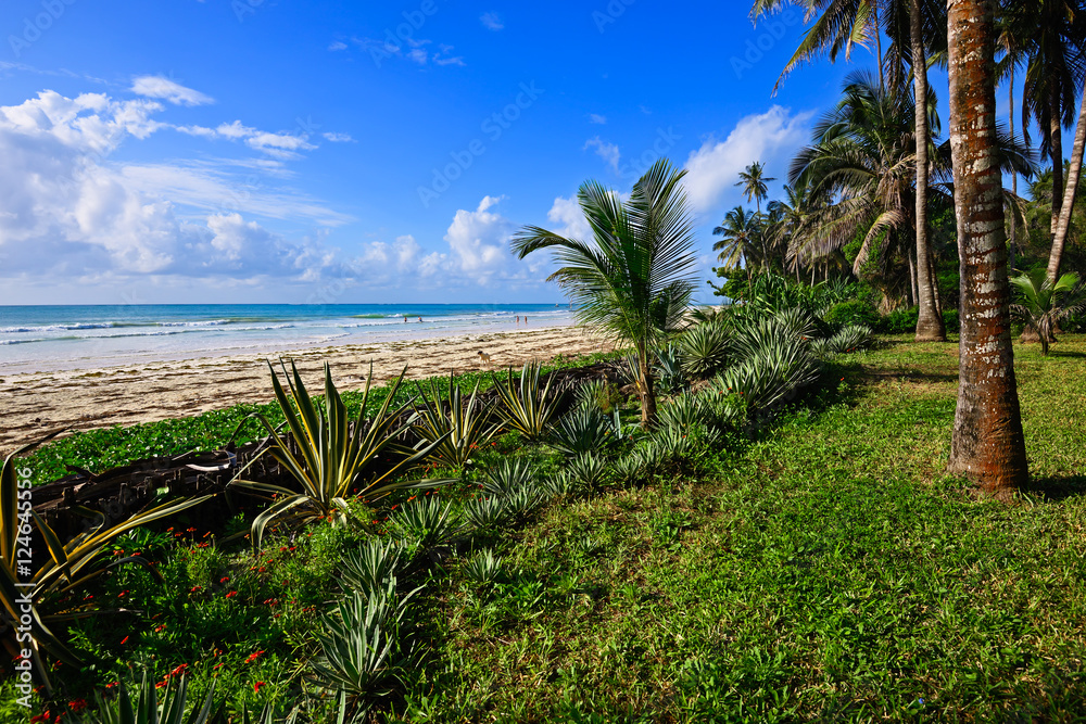 Obraz premium Picturesque coast Diani