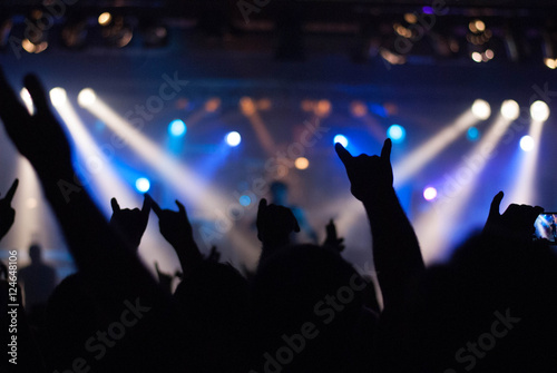 Fans auf einem Rockkonzert