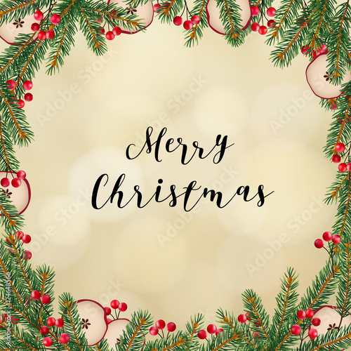 Decorative traditional Merry Christmas frame, wreath. Fir, spruce green branches decorated with red berries and dried apples.