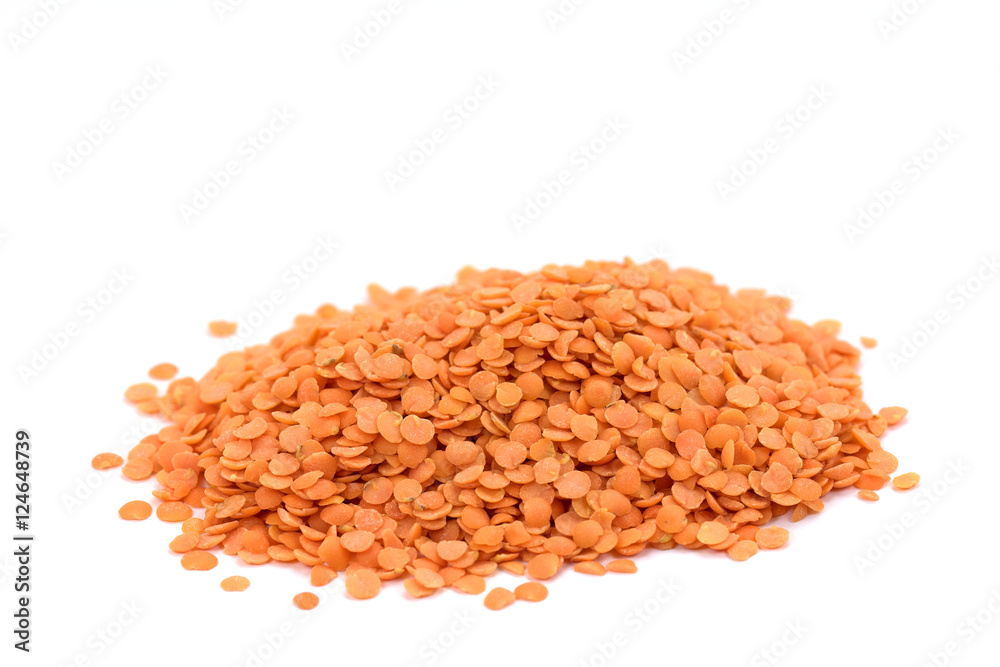 Rote Linsen, Linsen, Lens culinaris