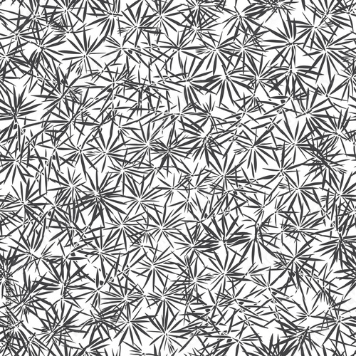 Conifer texture. Seamless vector pattern. Black and white illustration