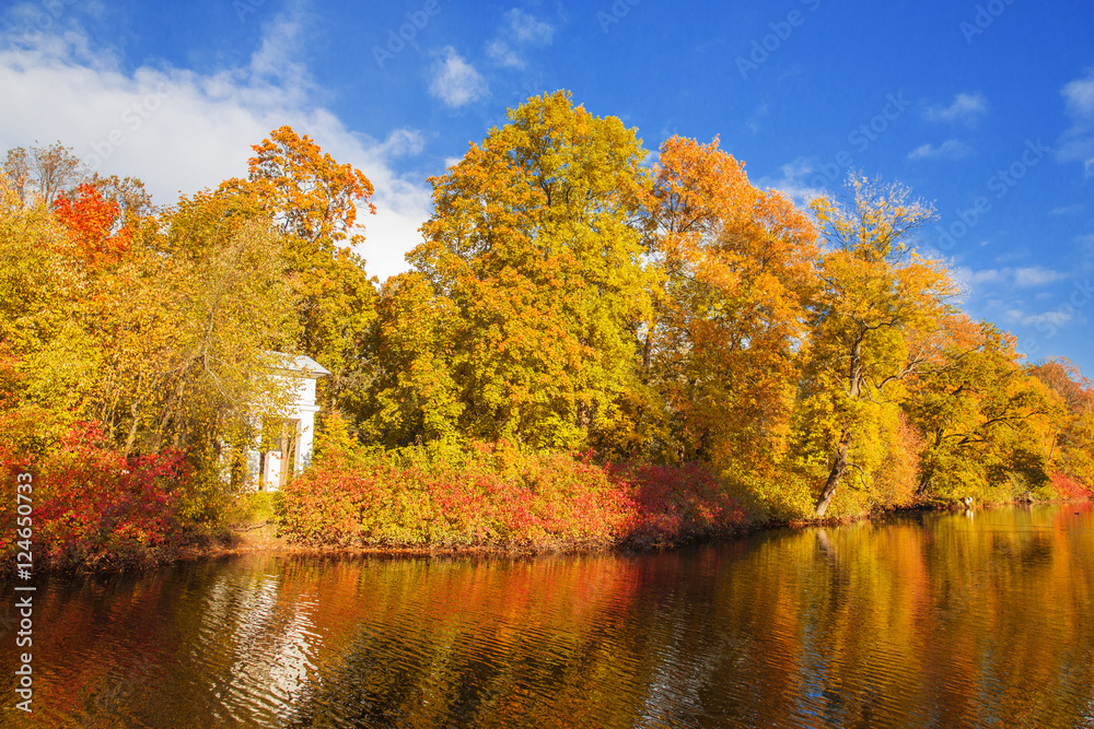 Fall landscape. Autumn park, lake, leaves and sun