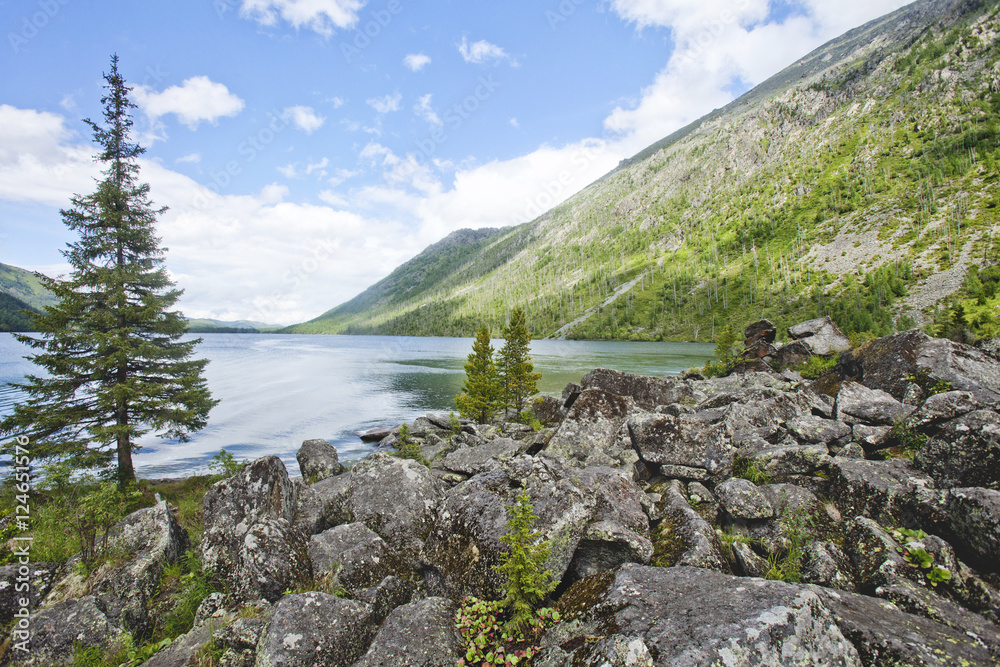 Trees and rocks near Multinskioe lake, Altai