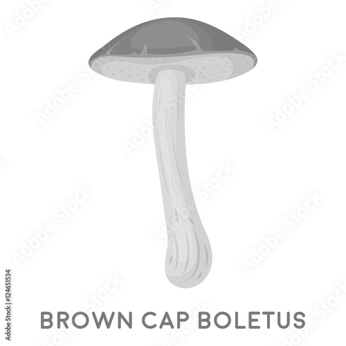 Brown cap boletus icon in monochrome style isolated on white background. Mushroom symbol stock vector illustration.