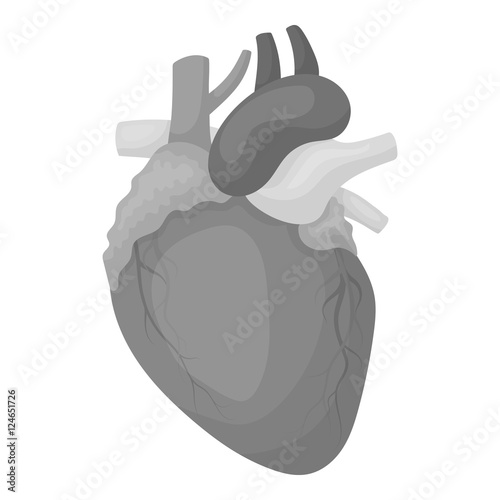 Heart icon in monochrome style isolated on white background. Organs symbol stock vector illustration.