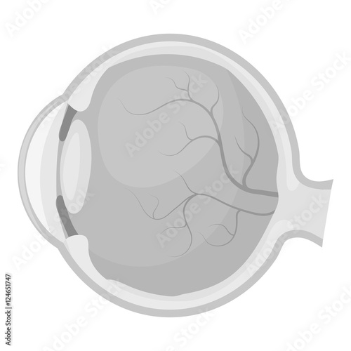 Eyeball icon in monochrome style isolated on white background. Organs symbol stock vector illustration.