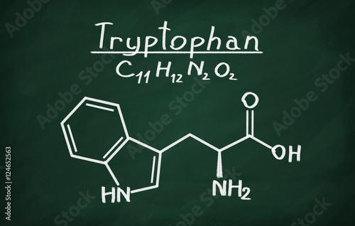 Structural model of Tryptophan