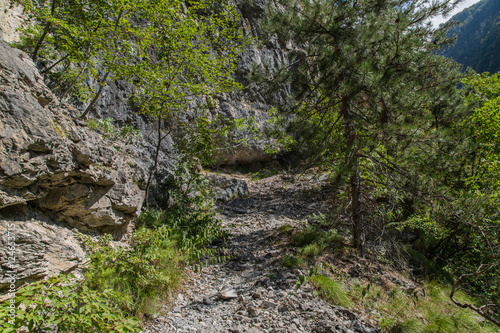 Gebirgswanderpfad, Höhenweg im Tal Valle di Piero; Dolomiten, Sommer 