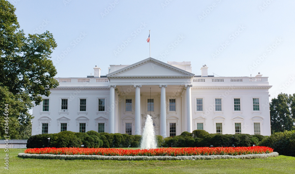 Obraz premium White House
