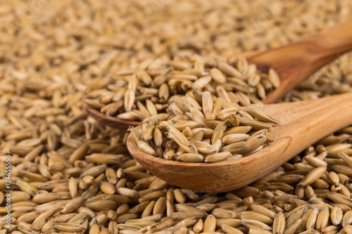 natural oat grains background, closeup