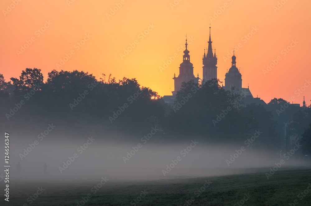 Misty Blonia meadow in Krakow, Poland, with St Mary's church and Town Hall towers in the background.