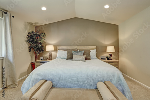 Elegant bedroom interior with pale blue bedding