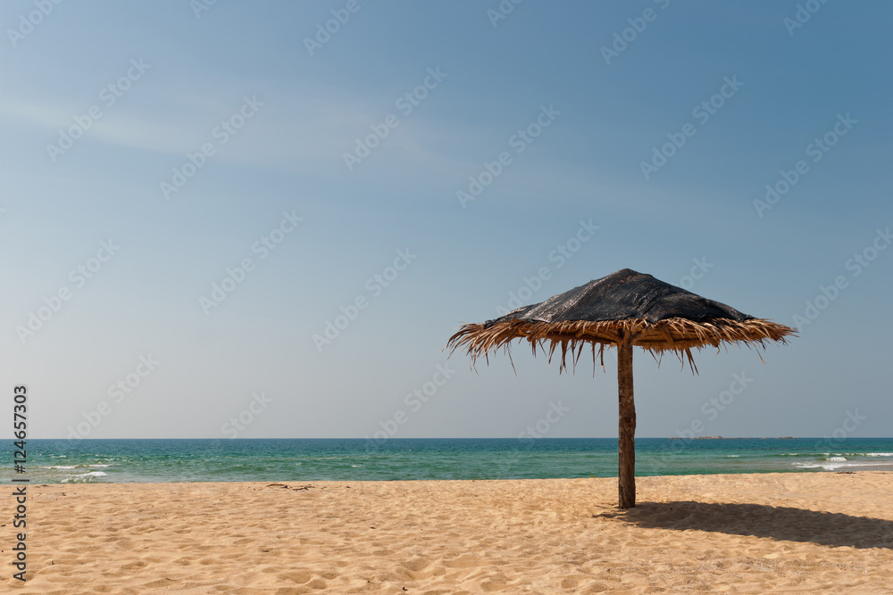 Beach umbrella on seashore