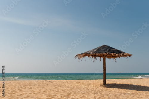 Beach umbrella on seashore