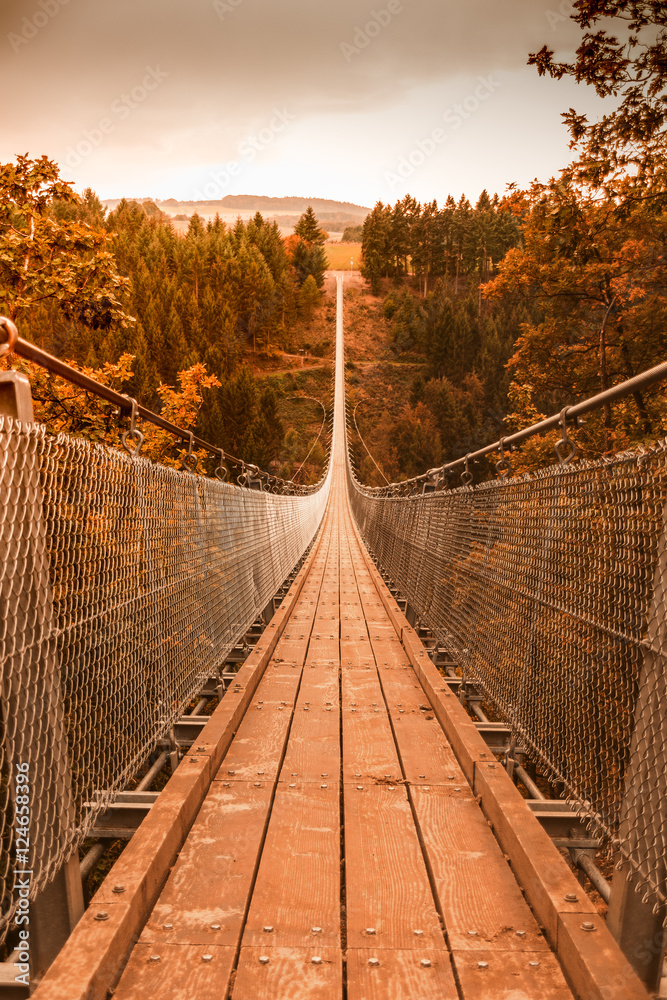 Fototapeta premium Hängeseilbrücke Geierlay