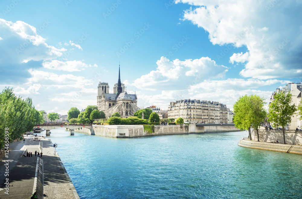 Naklejka premium Notre Dame Paris, France