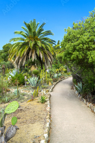 Cactus garden in the Lloret de mar, Costa Brava, Catalonia, Spain