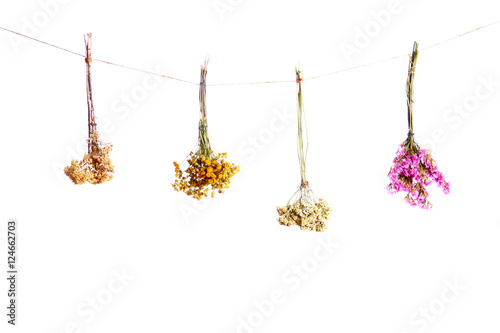 three bouquets of dried flowers on a white background