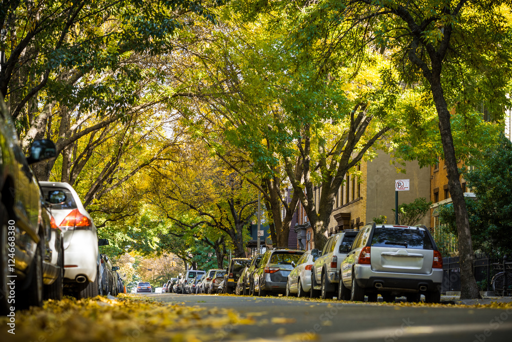 Naklejka premium Autumn alley in the city