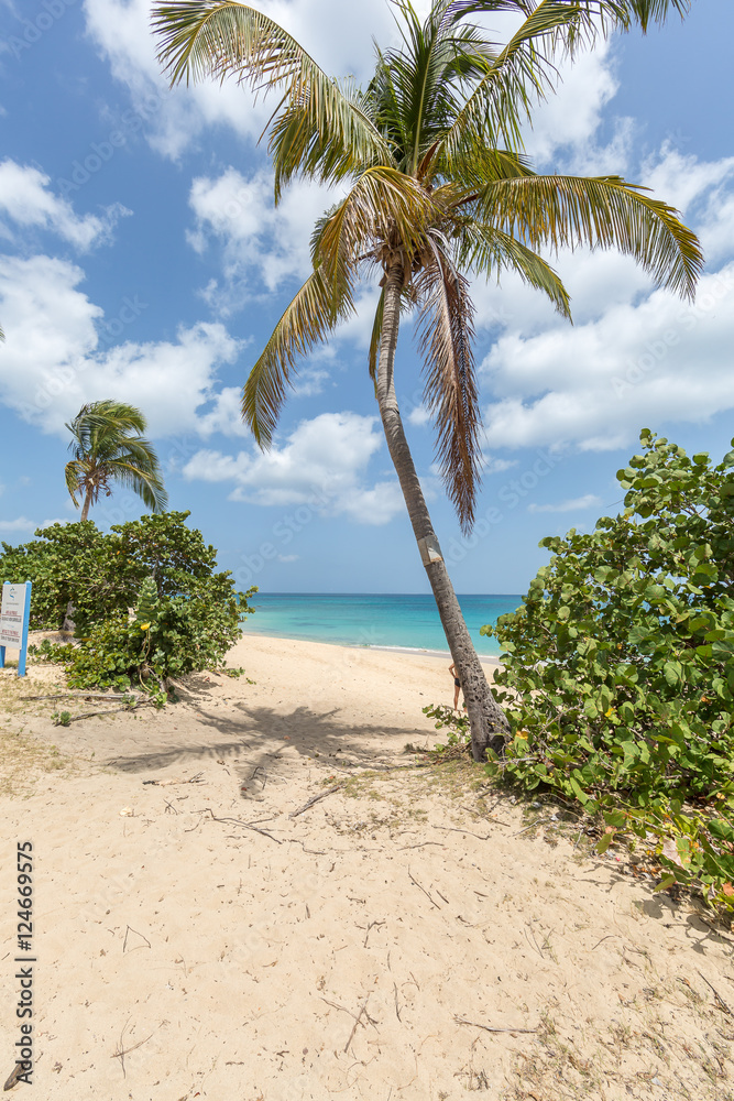 Happy Bay Beach in Saint Martin Island, French West Caribbean Happy Bay Beach in Saint Martin Island, French West Caribbean