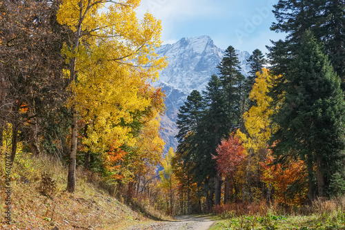 Mountain landscape golden autumn. Caucasus Mountains  Dombay