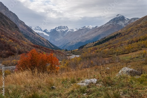 Mountain landscape  golden autumn. Caucasus Mountains  Dombay