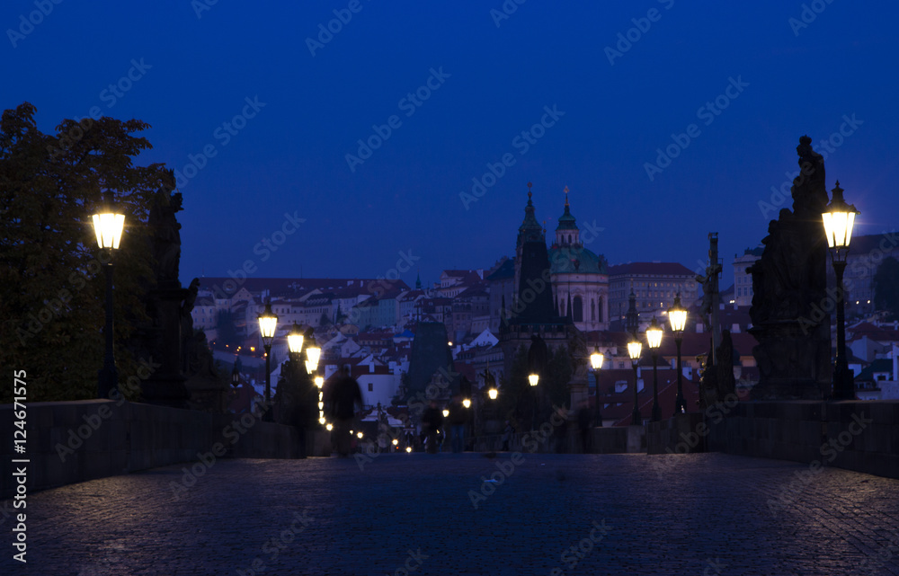 Charles Bridge and the Prague Castle at night, Prague, Czech Republic
