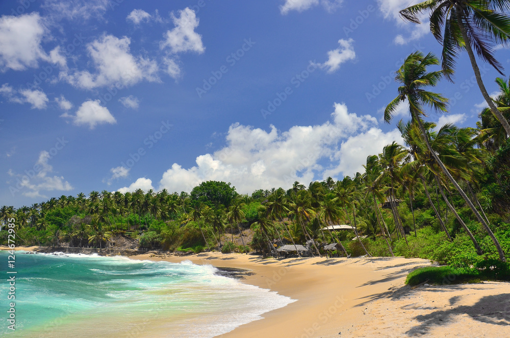 A beautiful deserted sandy beach with palm trees at the southern coastline of Sri Lanka (Tangalle region)