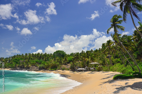 A beautiful deserted sandy beach with palm trees at the southern coastline of Sri Lanka  Tangalle region 