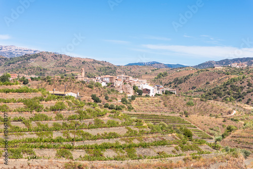 Vineyard in the village El Lloar, in the Comarca Priorat, a famous wine-growing area where the prestigious wine of the Priorat and Montsant is produced. Wine has been cultivated here since12th century