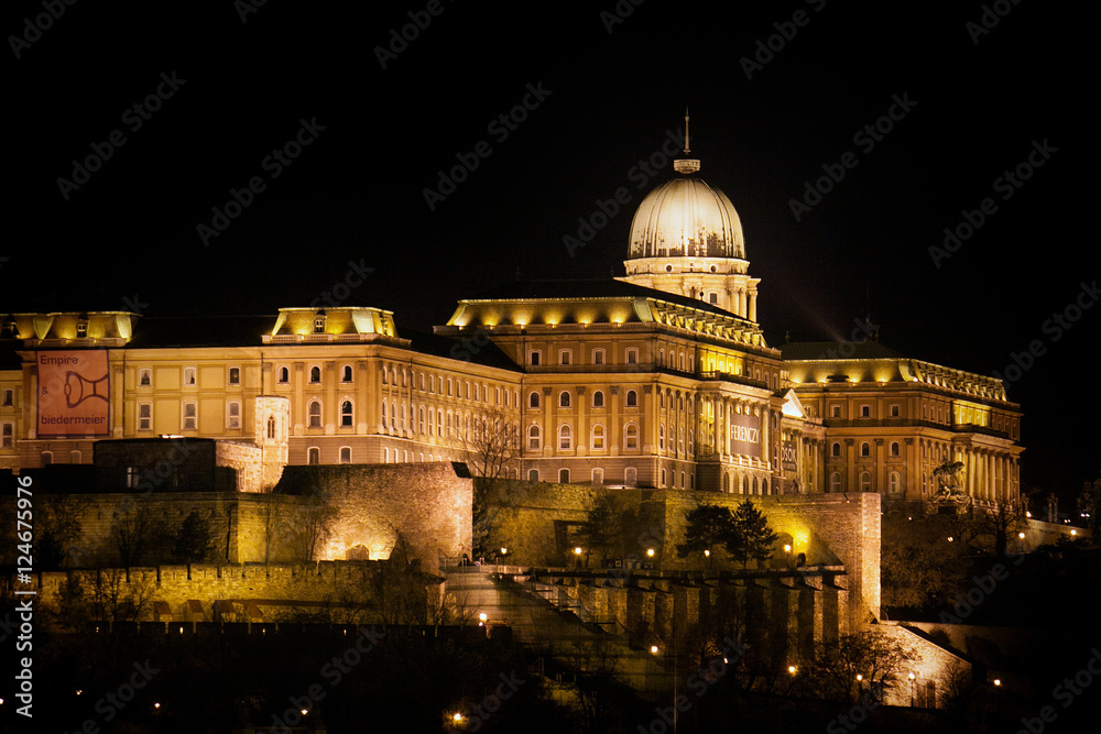 Fototapeta premium Budapest the capital of Hungary crossed by the Danube River