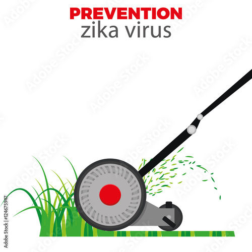 Zika Virus