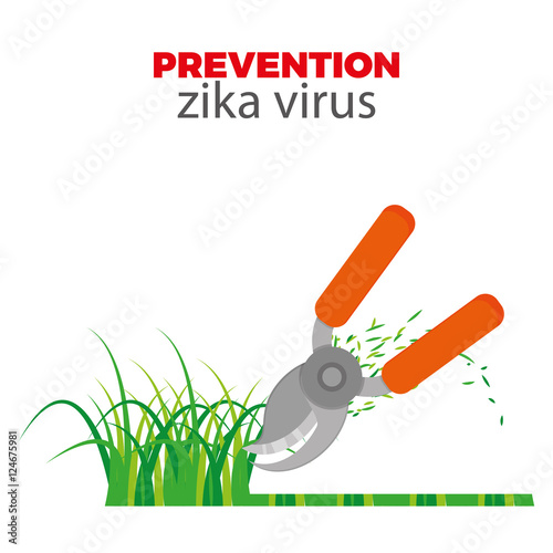 Zika Virus