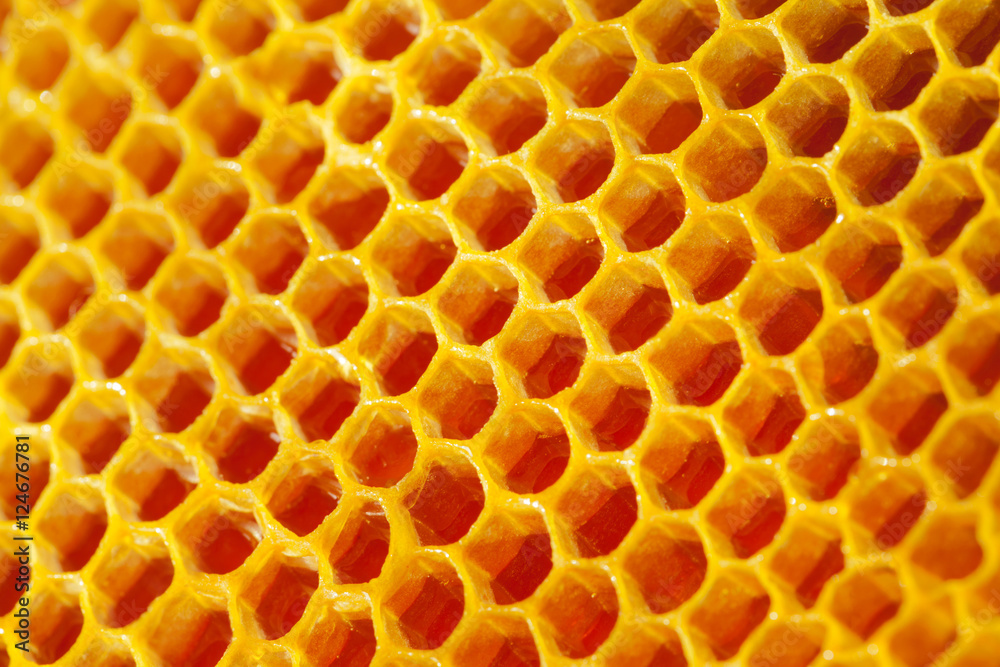 Yellow honeycomb with cells full of honey