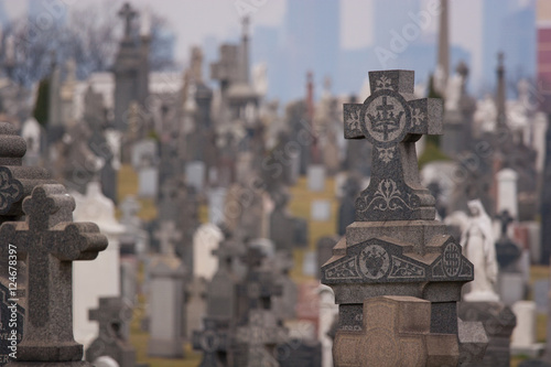 Tombstones in a cemetary