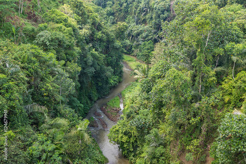 A river gorge passing through tropical jungle near Sangeh, in the Central District of Bali in Indonesia.