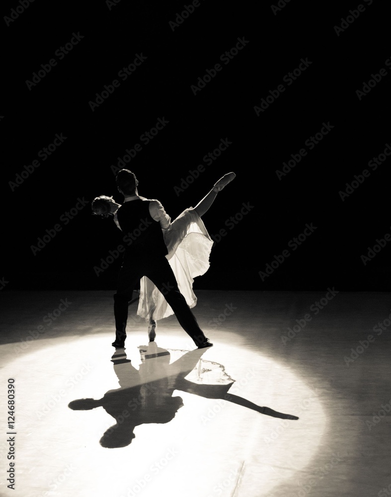 Obraz premium Ballet couple dancers performers on stage