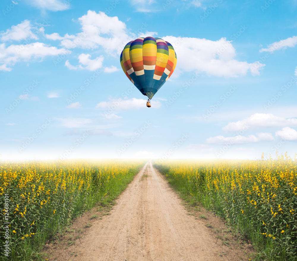 Naklejka premium Hot air balloon over dirt road into yellow flower fields with fog