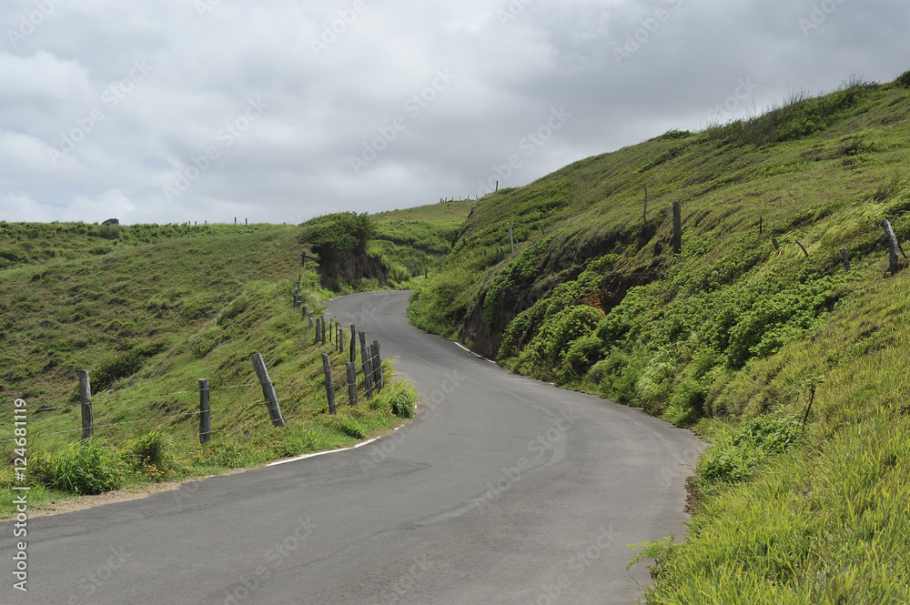 Winding road on the grassy hills of Maui, Hawaii